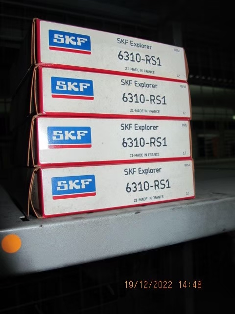 SKF Photo 121